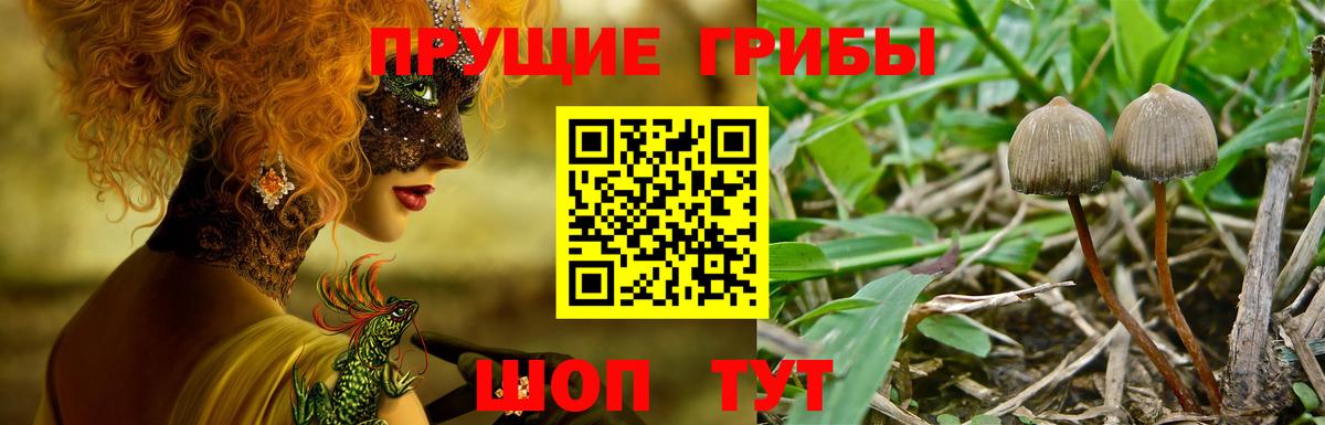 Мегион  Галлюциногенные грибы мицелий  Псилоцибиновые грибы GOLDEN TEACHER  Вход с VPN 